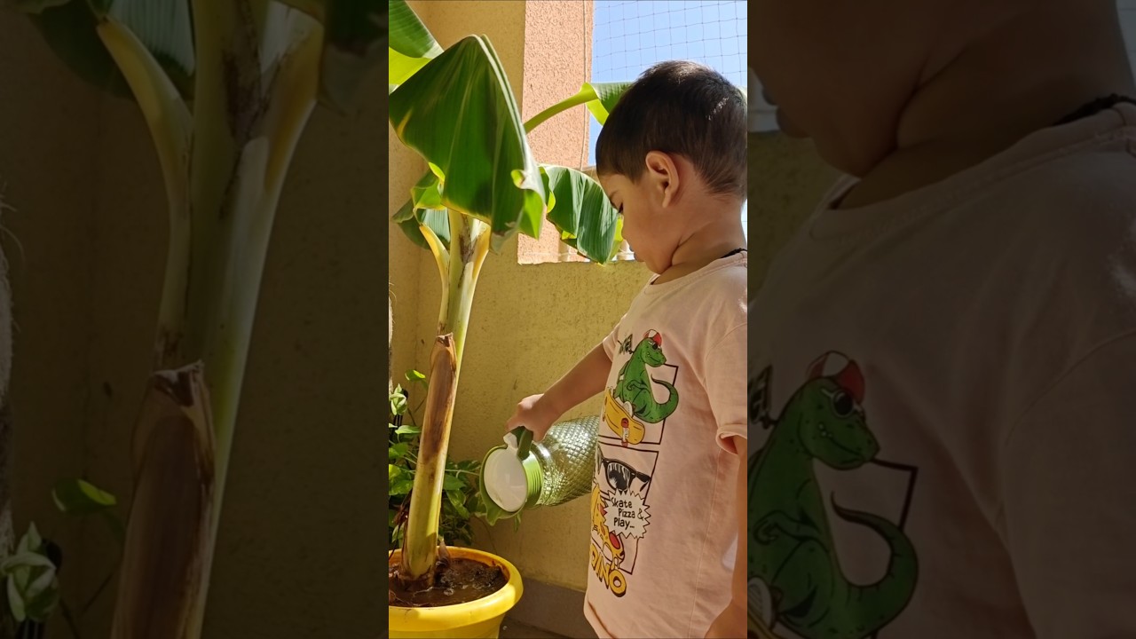 Kid watering plants with dad 