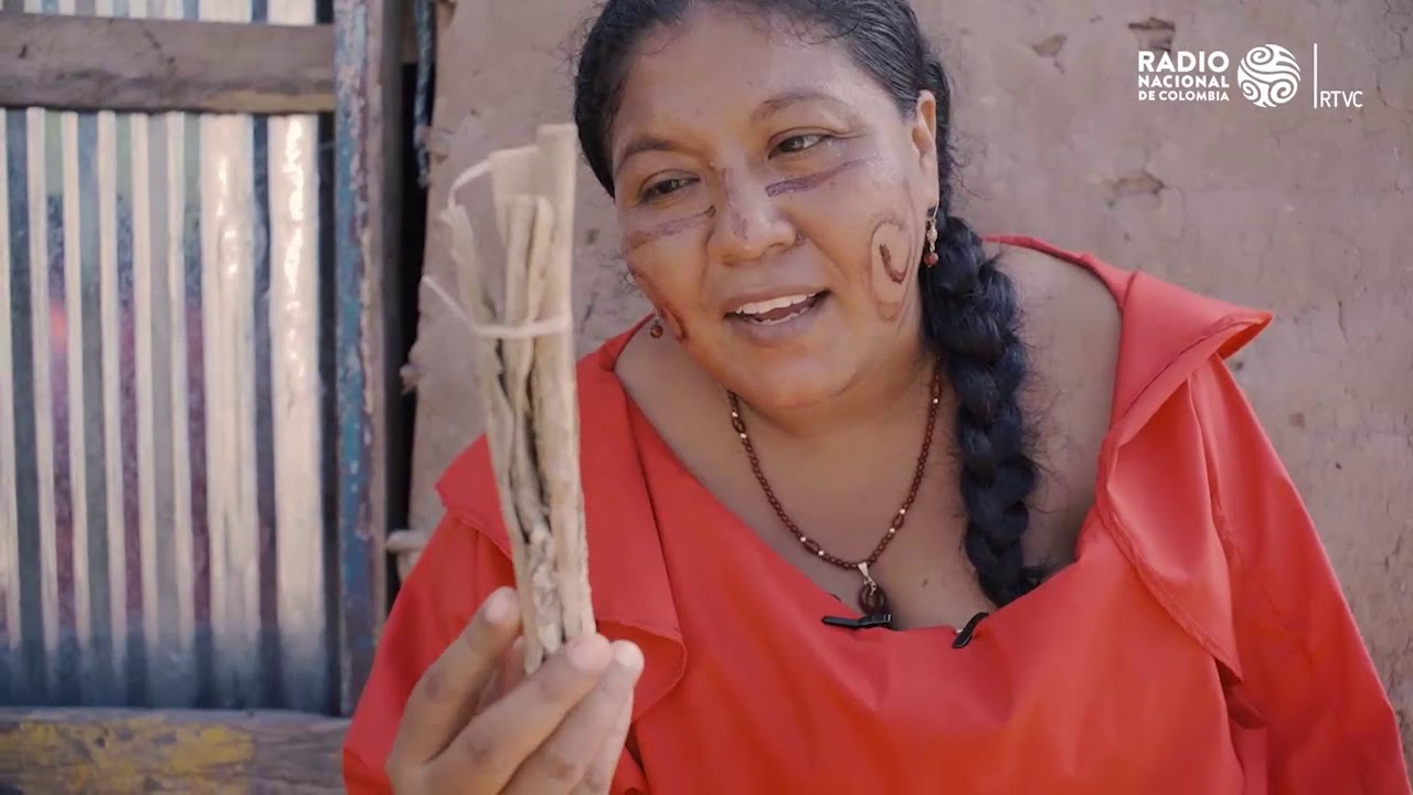 Nuestras voces La Guajira: Medicina ancestral