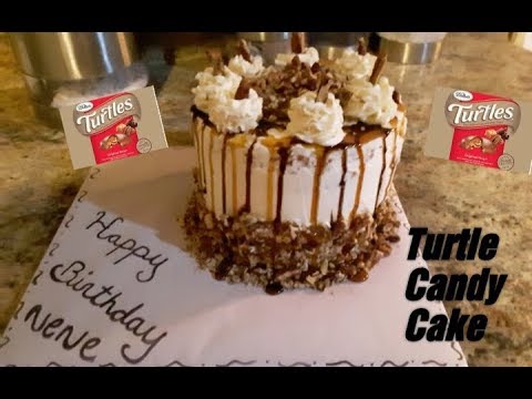 Turtle candy cake tutorial