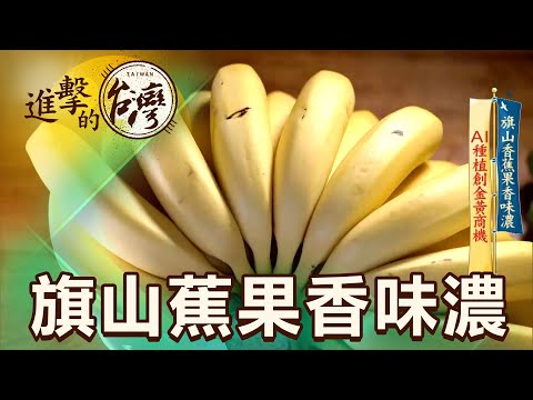 【進擊的台灣】旗山香蕉果香味濃 AI種植創金黃商機