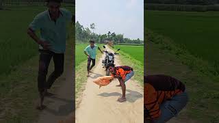 Its Like A The Cat Barking In The Middle Of The Road.789