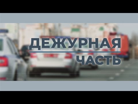 ДЕЖУРНАЯ ЧАСТЬ от 11.11.2024