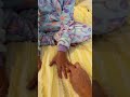 We Found Out Suri Actually Has 11 FINGERS Jancyfamily Shorts Short Unbelievable We Found Out Suri Actually Has 11 FINGERS Jancyfamily Shorts Short Unbelievable