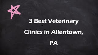 3 Best Veterinary Clinics in Allentown, Pennsylvania 2024 | Animal Hospitals