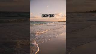 Download Lagu Blue lagoon - Isle Of Paradise ( Trakoz Remix🇸🇧) MP3