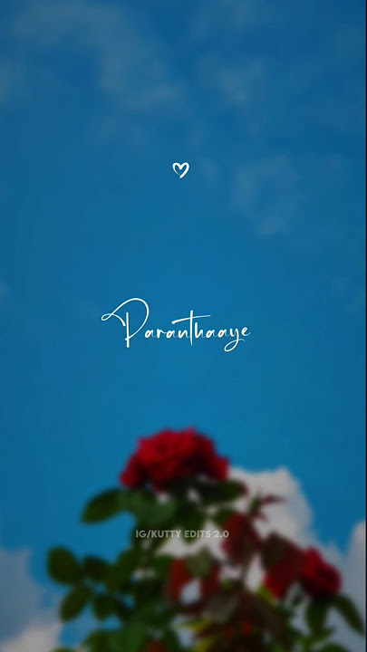 Po Po Poo Nee Enga Vena Poo Song HD lyrics Status #tamil_whatsapp_status #love #u1lovesong #music