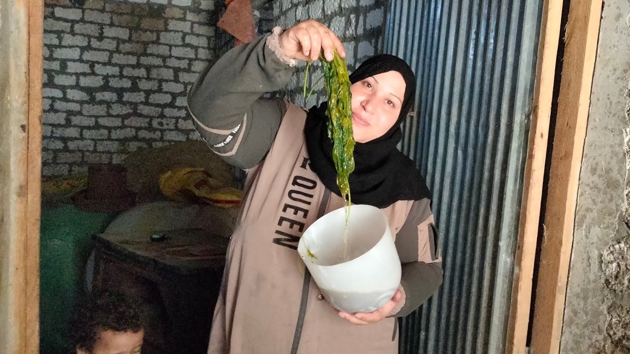 غسل كلوى مضاد سموم منشط كبد قاهر الكوكسيديا زيادة وزن الفراخ البيضاء ب نص جنية فقط انسي اى ادوية