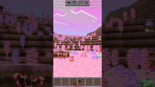 |Minecraft Candy 🍭| #minecraft #minecraftshorts #live #game #gamer #gaming #gameplay #games#candy