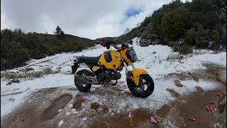 Riding Up to the Snow | 2022 Honda Grom Norcal Dual Sport Adventure | Cow Mountain