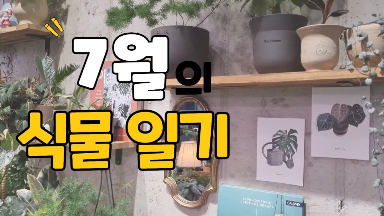 7월의 식물일기 | 식물마켓 구경 | 요즘 예뻐하는 식물