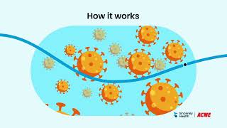 The Flu Shot | Flu Shot Effectiveness and Flu Shot Safety Information
