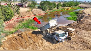 New Project!! Dozer Mitsubishi & Truck 10ton Clearing the land will push the soil to fill the pond