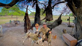 INCREIBLE CAZA con PERRO, CHANCHOS SALVAJES🐗🐕