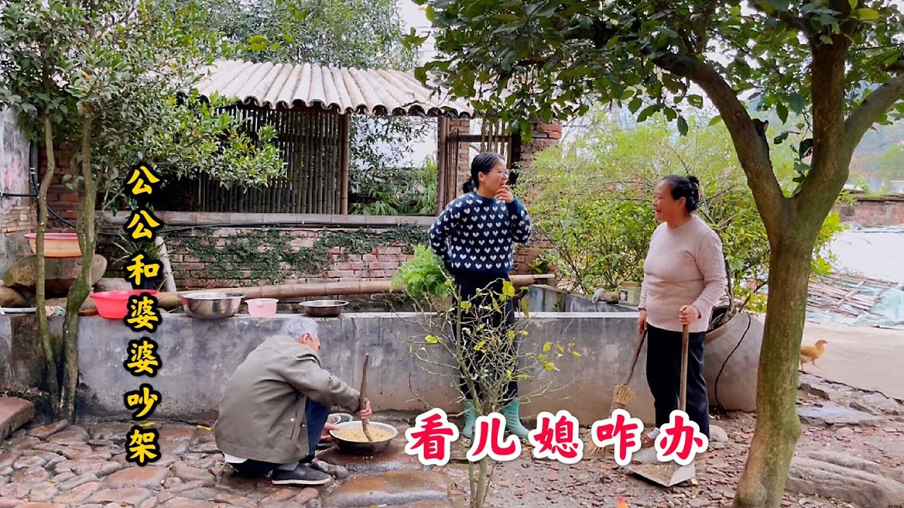 儿媳妇回家，听到农村公公和婆婆吵架，儿媳做法让人称赞