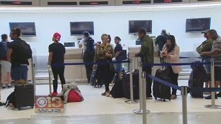 Chaos at Florida Airport After Spirit Flights Canceled