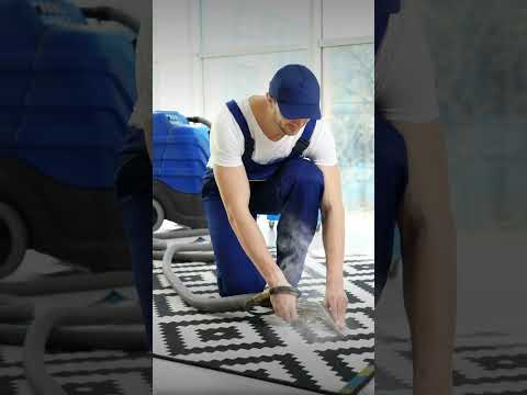 Truck-Mounted vs Portable Carpet Cleaning: What's the Difference?