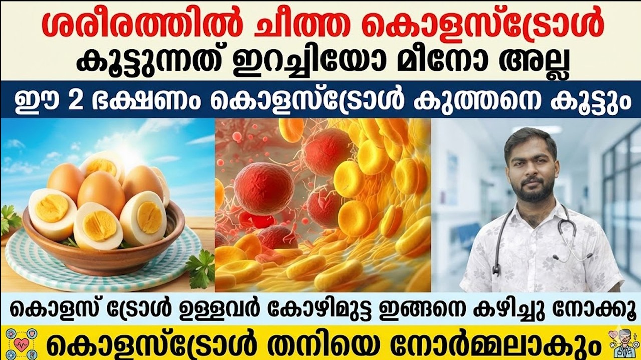 ഈ 2 ഭക്ഷണങ്ങൾ കൊളെസ്ട്രോൾ കുത്തനെ കൂട്ടും - കോഴിമുട്ട കഴിച്ചാൽ ഇങ്ങനെ നോർമലക്കാം | cholesterol