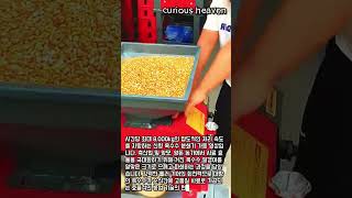 압도적인 속도의 신형 옥수수 분쇄기 가동 현장 #worker #process #corn #crusher #machinery