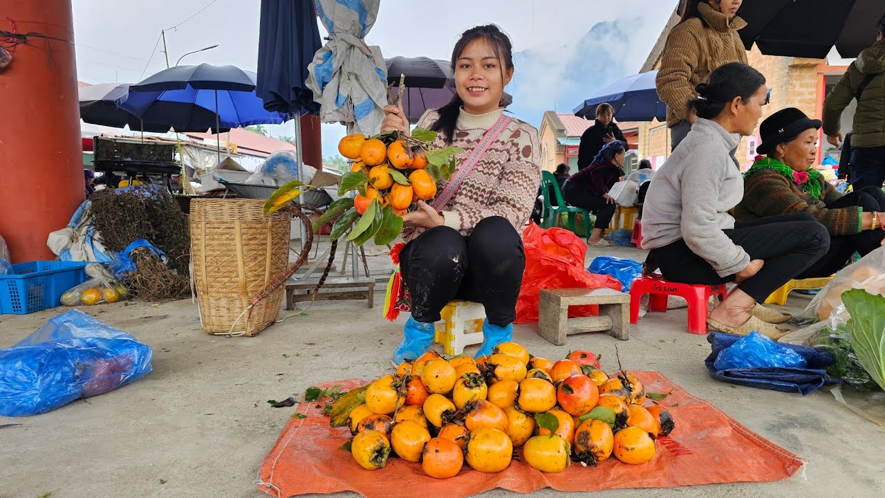 A single mother harvests red ginseng fruit to sell at the market - YouTube