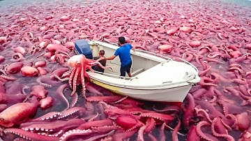 One in a Billion Moments in Nature