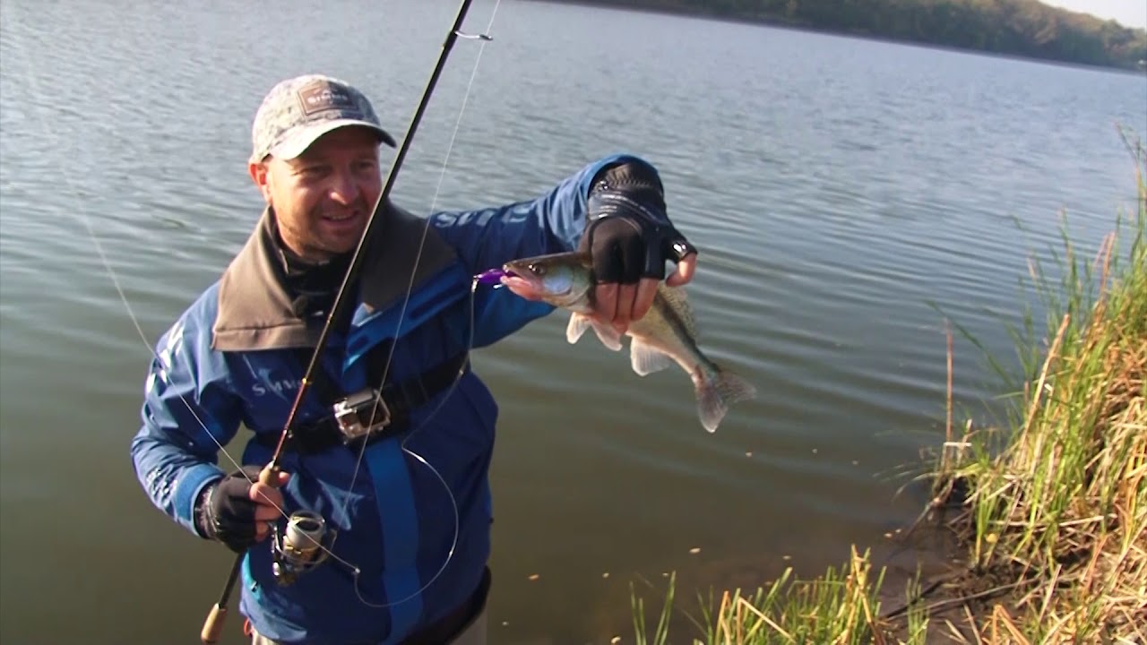 летняя рыбалка на пруду видео