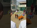グラブ作りはここからです。#野球