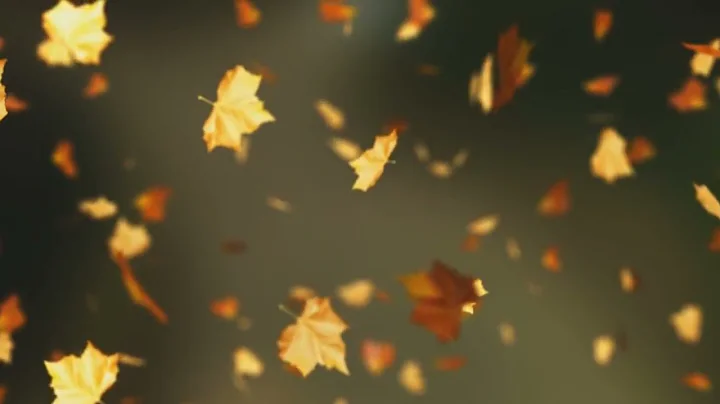 Falling Autumn Leaves Background Loop
