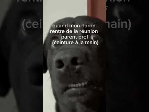 #shorts #meme/ Meme