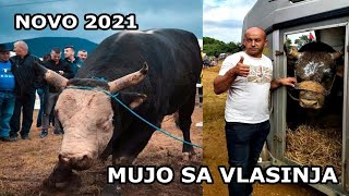 Mujo Sa Vlasinja novo 2021