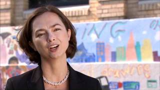 Permanent Campaign for Public Education- The Taproot Foundation