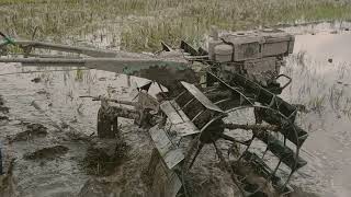 Roda Jumbo Modifikasi! Traktor Sawah Membajak Sawah Menggunakan Roda Ukuran Besar