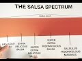 The Salsa Spectrum - You Suck at Cooking (episode 38)