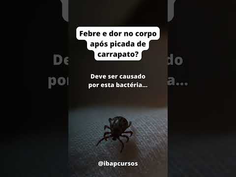 Febre e dor