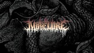 Mire Lore - The End Is Near [LYRICS]