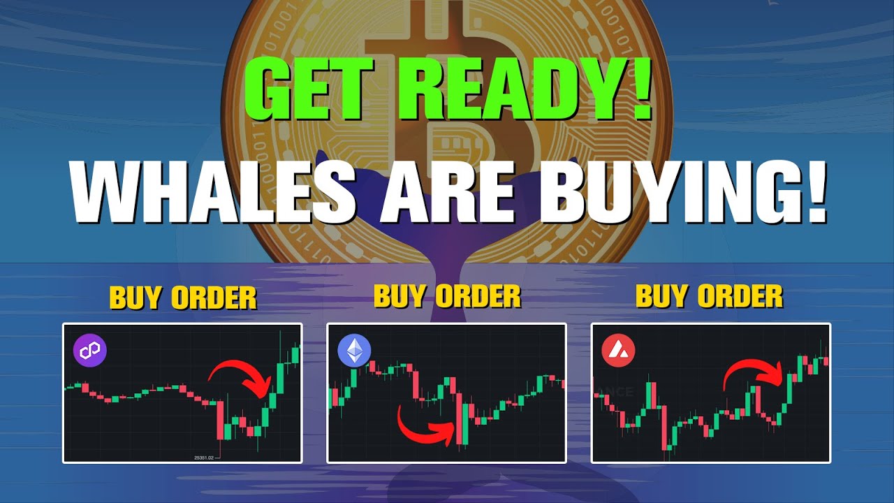 Crypto Whale Tracker: See What Crypto Whales Are Buying | CoinCodex