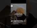 It S Hard To Be A Father Of 7 Children Straykids Skz Bangchan Jisung Kpop Shorts Fyp 
