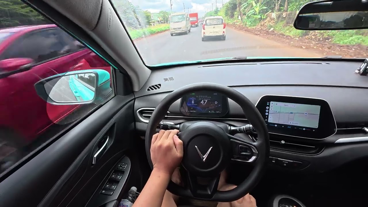 Bí Mật Thị Trấn Phước An: Kể Chuyện Về Cây 'Vàng' Đem Lại Thu Nhập 15 Tỷ Cho Nông Dân!