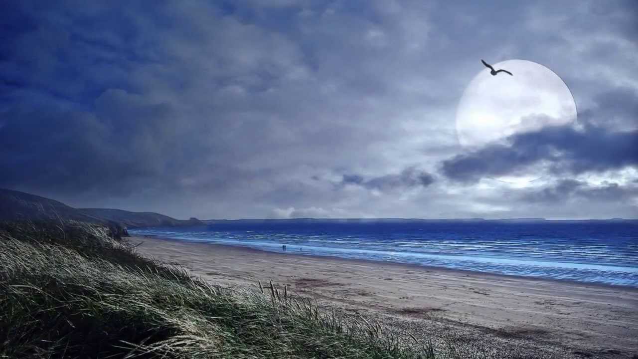 Andrea Parodi & Al Di Meola: