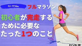 初心者がフルマラソンを必ず完走出来るようになるたった1つのこと