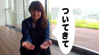 Ｈｅｌｌｏ！Ｚｏｏｍｅｒ (ハローズーマー) ついてきて！編