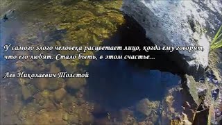 Лучшие цитаты о счастье