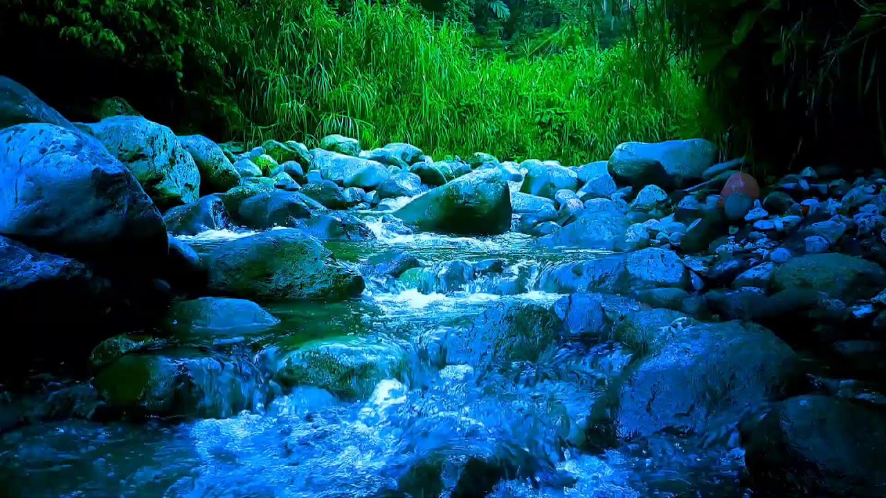🍃 Clear Forest River ASMR Sounds for Deep Sleep, Relaxation & Mental Calm