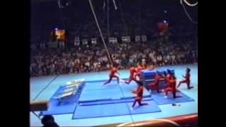 Vaulting