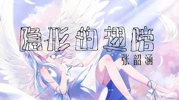 张韶涵 - 隐形的翅膀【我知道 我一直有双 隐形的翅膀】♧歌词lyrics♧