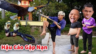 Hậu Cáo - Bất Ngờ Gặp Nạn Vác Ná Thần Công Ra Nghĩa Địa Săn Chim