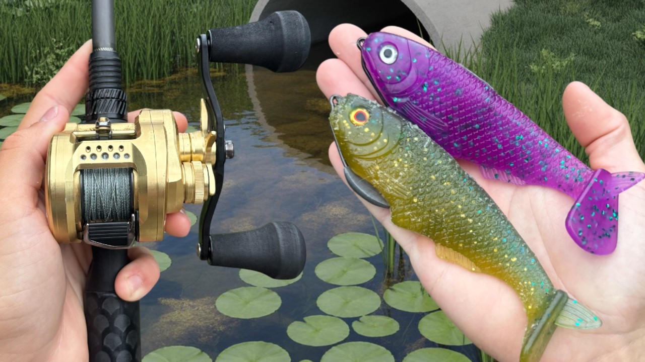 Kayak Fishing With Swimbaits for Big Summer Bass