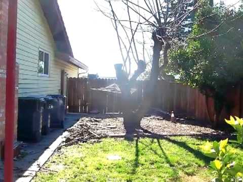 2760 Geranium Ct, Fairfield, CA home video tour