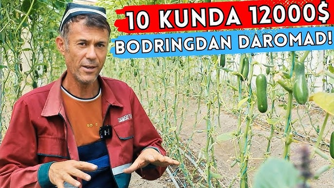 Qiz dostimning onasi bilan jinsiy aloqa