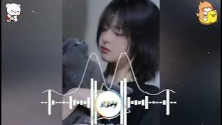 Lily remix tiktok 2022 - Alan walker || Nhạc TikTok Remix Hay Nhất 2022 Nonstop remix 2022