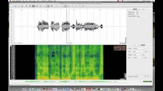 2   4   Timbre and the Overtone Series 1023